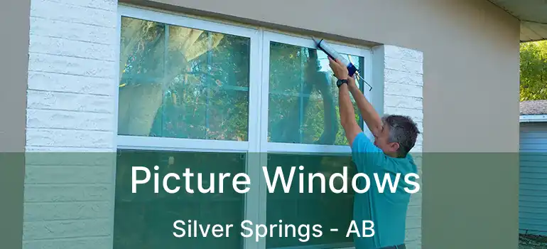  Picture Windows Silver Springs - AB