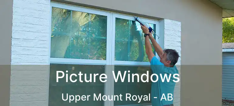  Picture Windows Upper Mount Royal - AB