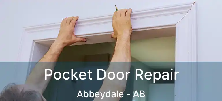  Pocket Door Repair Abbeydale - AB
