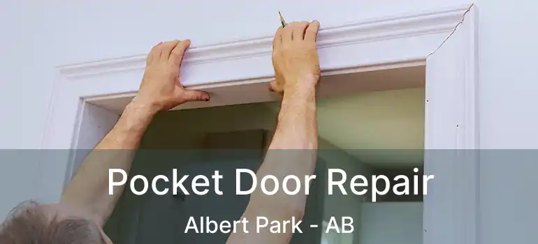  Pocket Door Repair Albert Park - AB