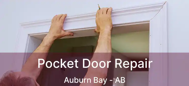  Pocket Door Repair Auburn Bay - AB