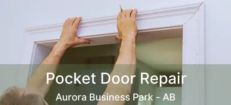  Pocket Door Repair Aurora Business Park - AB