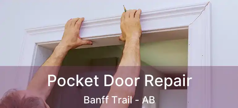  Pocket Door Repair Banff Trail - AB