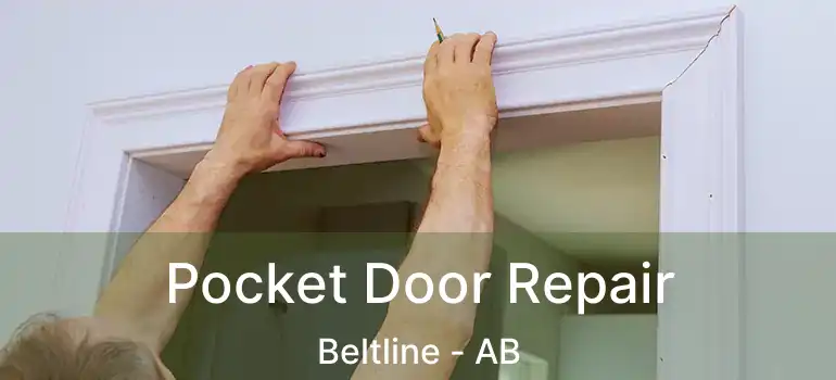  Pocket Door Repair Beltline - AB
