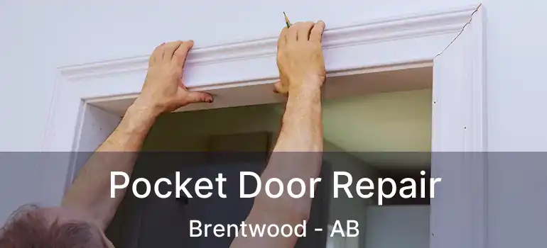  Pocket Door Repair Brentwood - AB
