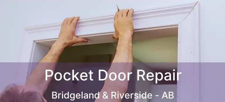  Pocket Door Repair Bridgeland & Riverside - AB