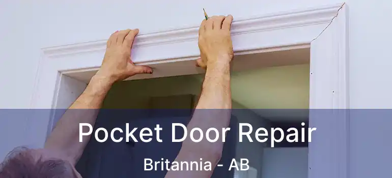  Pocket Door Repair Britannia - AB