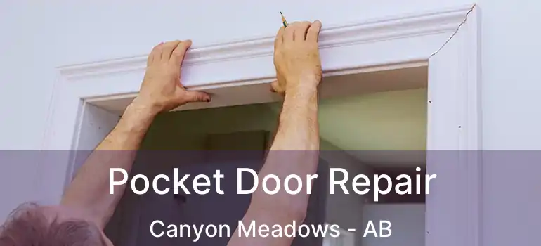  Pocket Door Repair Canyon Meadows - AB