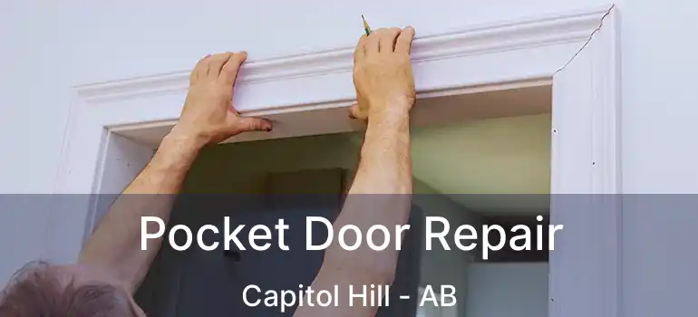  Pocket Door Repair Capitol Hill - AB