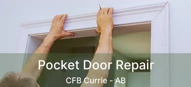  Pocket Door Repair CFB Currie - AB