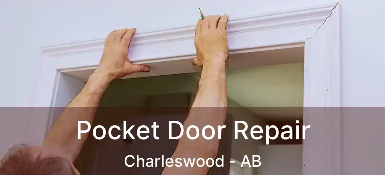  Pocket Door Repair Charleswood - AB