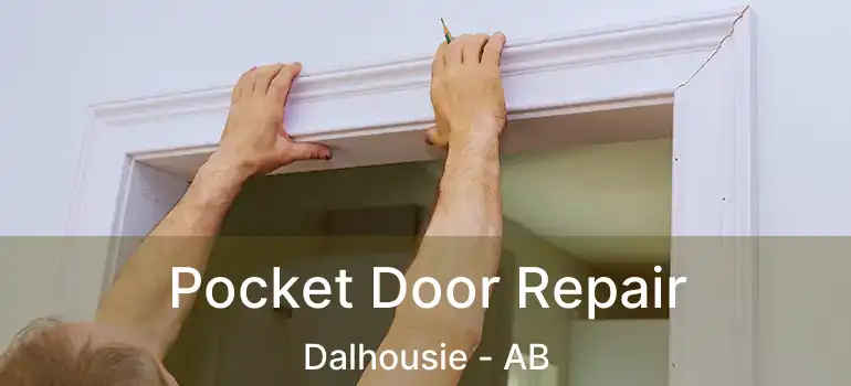  Pocket Door Repair Dalhousie - AB