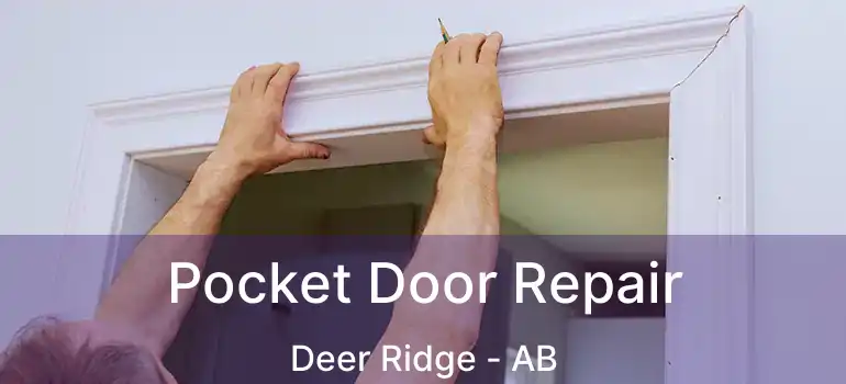  Pocket Door Repair Deer Ridge - AB