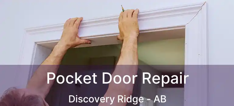  Pocket Door Repair Discovery Ridge - AB