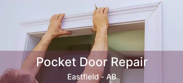  Pocket Door Repair Eastfield - AB