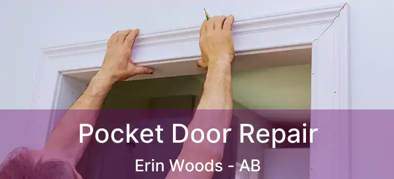  Pocket Door Repair Erin Woods - AB
