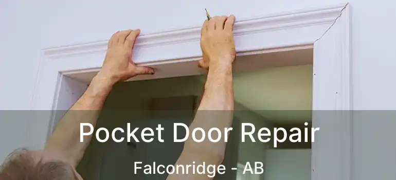  Pocket Door Repair Falconridge - AB