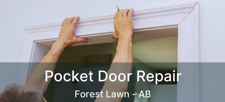  Pocket Door Repair Forest Lawn - AB