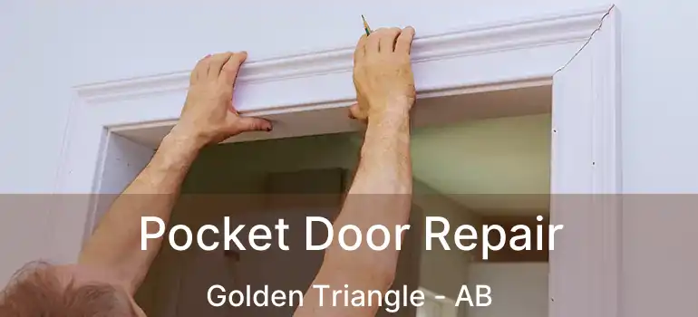  Pocket Door Repair Golden Triangle - AB