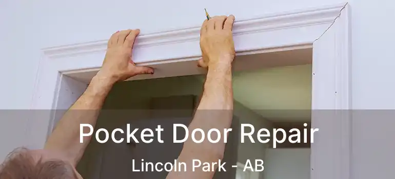  Pocket Door Repair Lincoln Park - AB