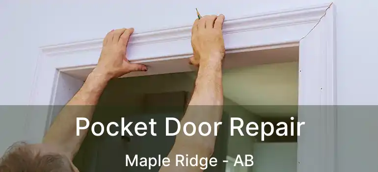 Pocket Door Repair Maple Ridge - AB