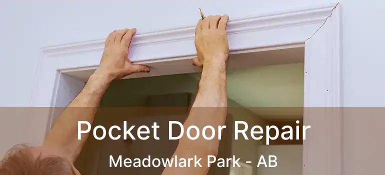  Pocket Door Repair Meadowlark Park - AB