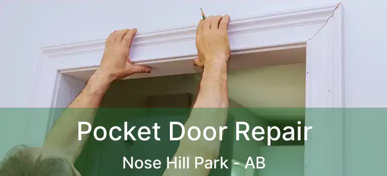  Pocket Door Repair Nose Hill Park - AB