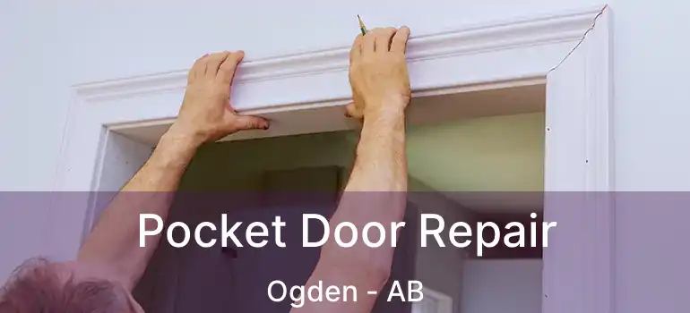  Pocket Door Repair Ogden - AB