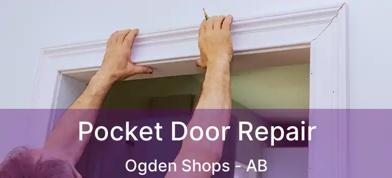  Pocket Door Repair Ogden Shops - AB