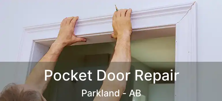  Pocket Door Repair Parkland - AB