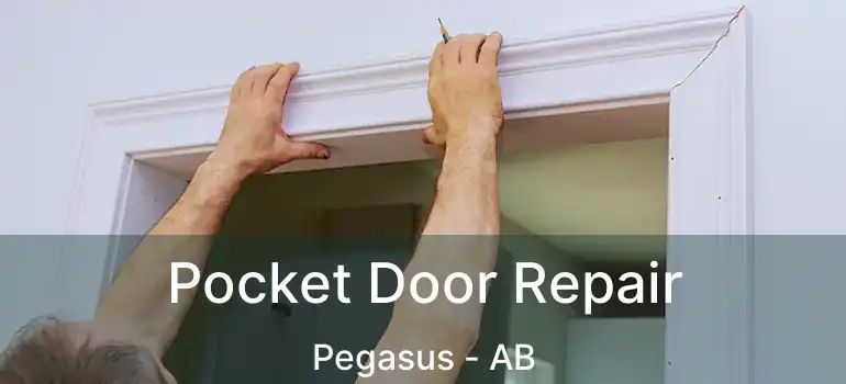  Pocket Door Repair Pegasus - AB