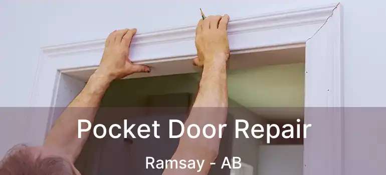  Pocket Door Repair Ramsay - AB