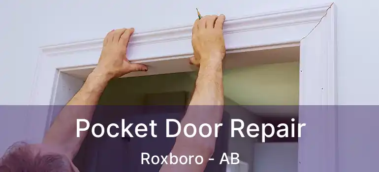  Pocket Door Repair Roxboro - AB