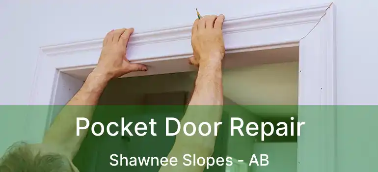  Pocket Door Repair Shawnee Slopes - AB