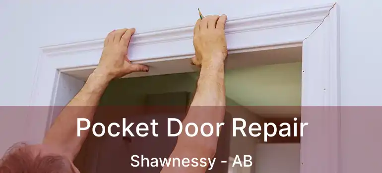  Pocket Door Repair Shawnessy - AB