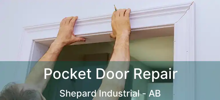  Pocket Door Repair Shepard Industrial - AB