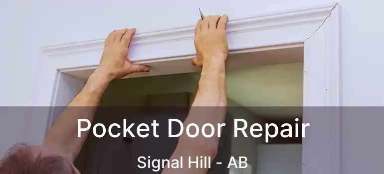  Pocket Door Repair Signal Hill - AB