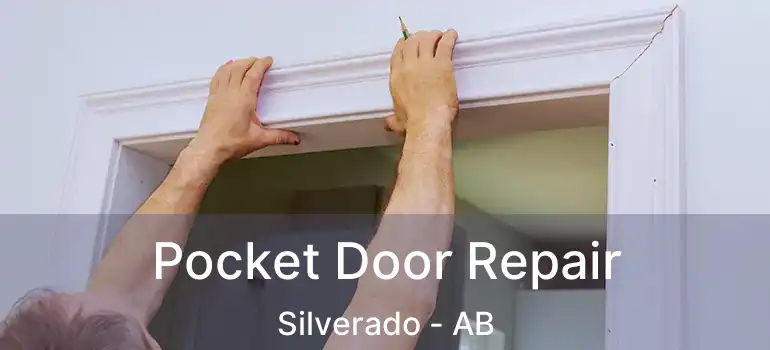  Pocket Door Repair Silverado - AB