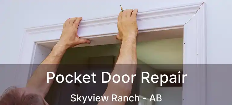  Pocket Door Repair Skyview Ranch - AB