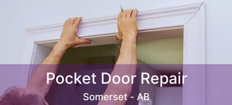  Pocket Door Repair Somerset - AB