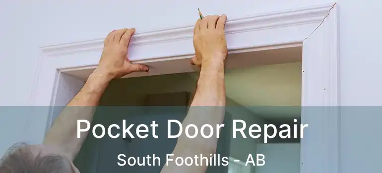  Pocket Door Repair South Foothills - AB