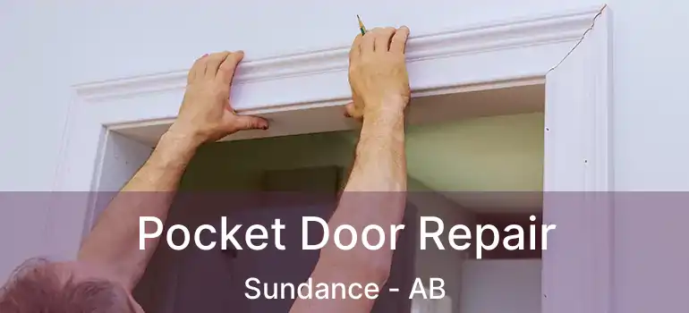 Pocket Door Repair Sundance - AB
