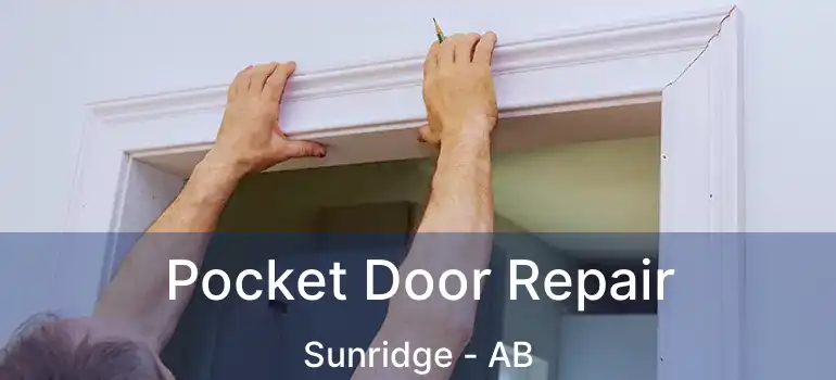  Pocket Door Repair Sunridge - AB