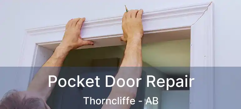 Pocket Door Repair Thorncliffe - AB