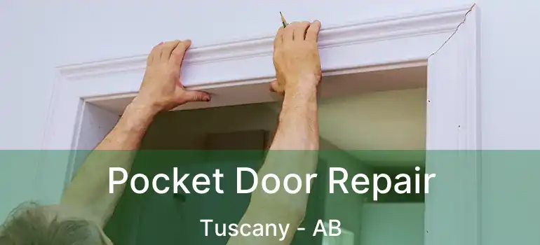  Pocket Door Repair Tuscany - AB