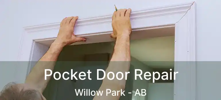  Pocket Door Repair Willow Park - AB