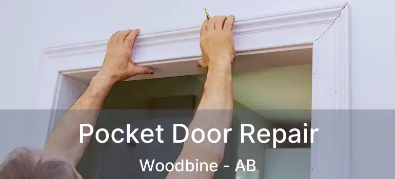  Pocket Door Repair Woodbine - AB