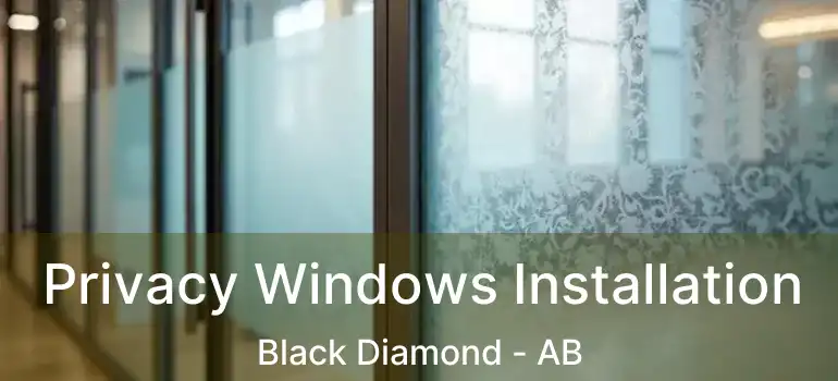  Privacy Windows Installation Black Diamond - AB