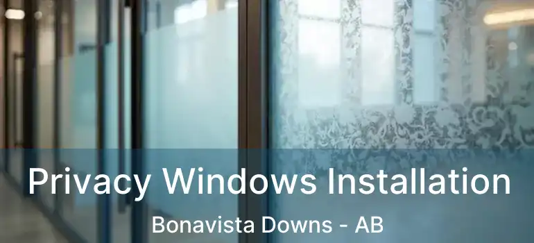  Privacy Windows Installation Bonavista Downs - AB