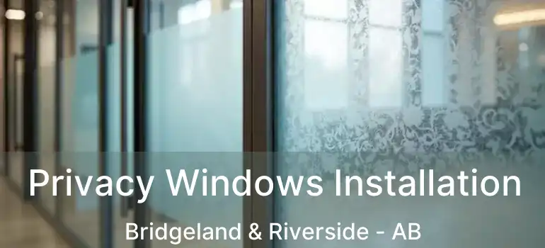  Privacy Windows Installation Bridgeland & Riverside - AB